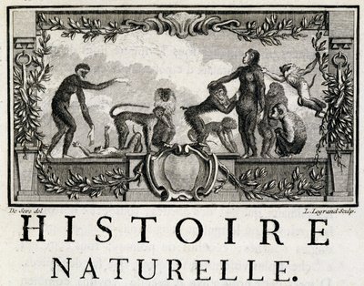 Alegoría de la historia natural sobre los simios - en 