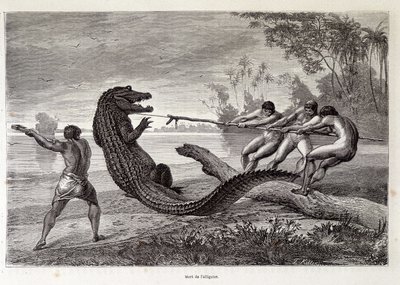 Caza de caimanes, Brasil, “Round the World” 2da semana 1874 de French School