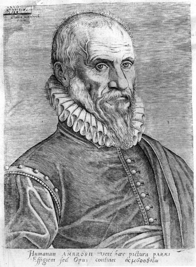 Ambroise Paré (1509-1590). de French School