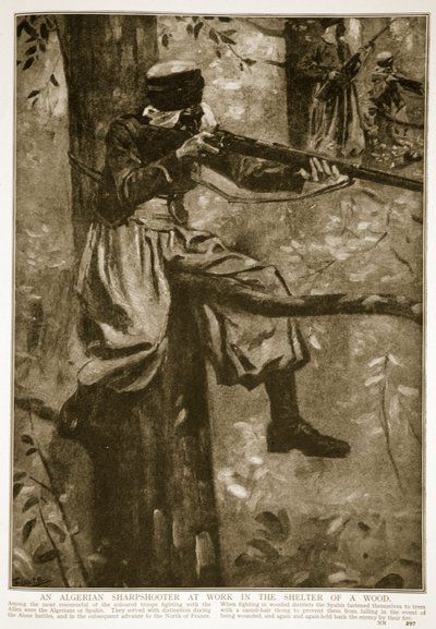 Un francotirador argelino trabajando en el refugio de un bosque, 1914-19 de French School