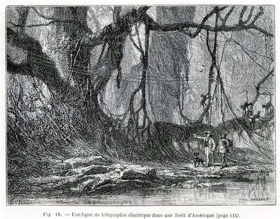 Una línea de telégrafo eléctrico en un bosque americano, c.1870 de French School