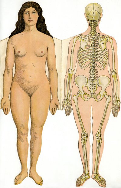 Tabla anatómica plegable de la Nueva Enciclopedia Práctica de Medicina e Higiene, por el Dr. Rehm, Librería Aristide Quillet 1922 - cuerpo humano - mujer desnuda y esqueleto femenino de French School