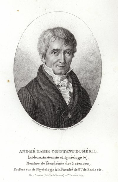 André Marie Constant Duméril de French School