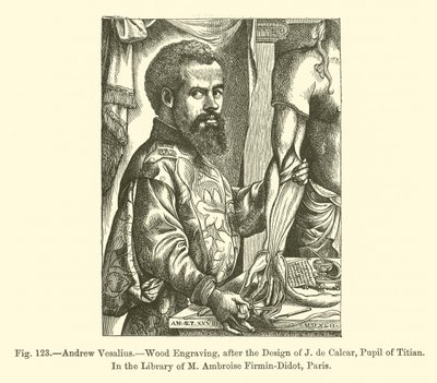Andrés Vesalio de French School