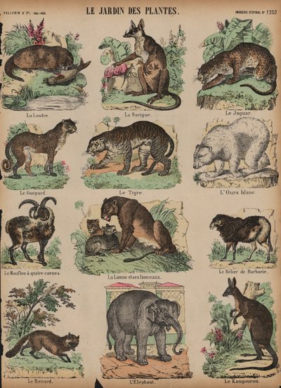 Animales en el Jardin des Plantes, París, Francia de French School