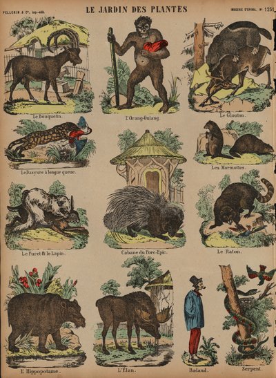 Animales en el Jardin des Plantes, París, Francia de French School
