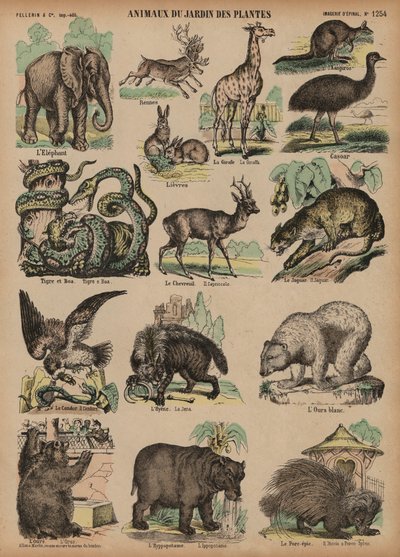 Animales del Jardin des Plantes, París, Francia de French School