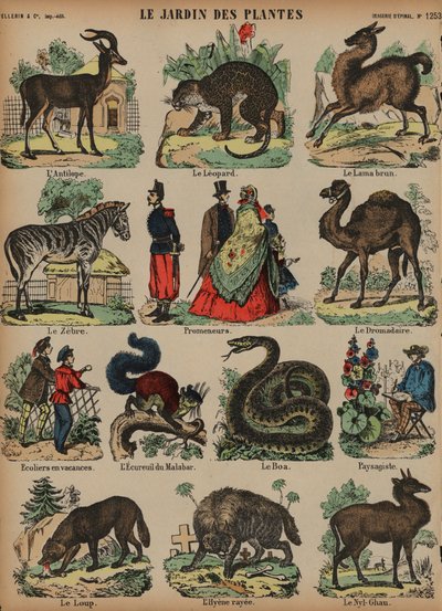 Animales del Jardin des Plantes, París, Francia de French School