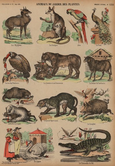 Animales del Jardín de Plantas, París, Francia de French School