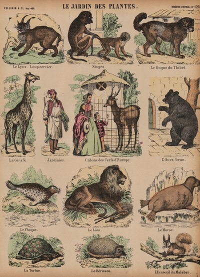 Animales del Jardin des Plantes, París, Francia de French School