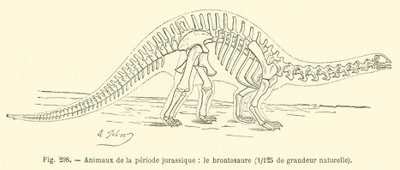 Animales del período jurásico, el brontosaurio de French School