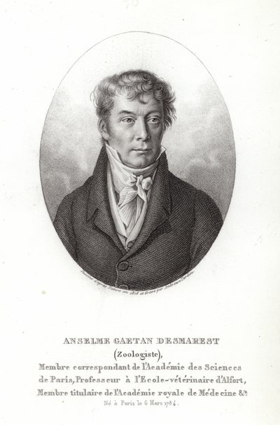 Anselme Gaëtan Desmarest de French School