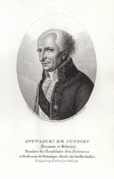 Antoine Laurent de Jussieu de French School