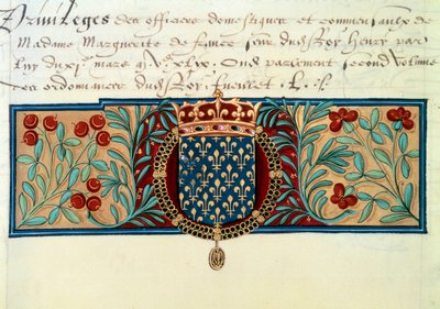Armas de Francia (rodeadas por el collar de la Orden de San Miguel y coronadas por la corona real) de French School
