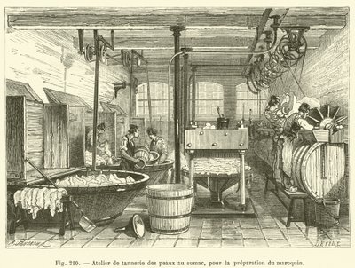Taller de curtido de pieles con zumaque, para la preparación del marroquín de French School