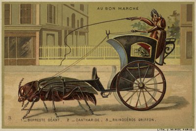 Tarjetas Au Bon Marché con insectos antropomorfos de French School