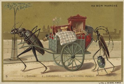 Tarjetas Au Bon Marché con insectos antropomorfos de French School