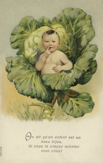 Bebé en un repollo (cromolito) de French School