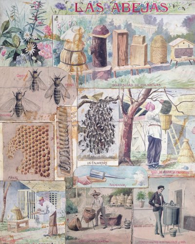Cultura de abejas, ilustración hecha en Francia destinada a la publicación en México, c. 1900 de French School