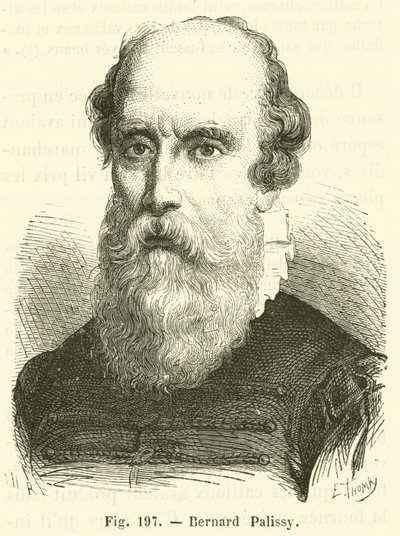 Bernard Palissy de French School