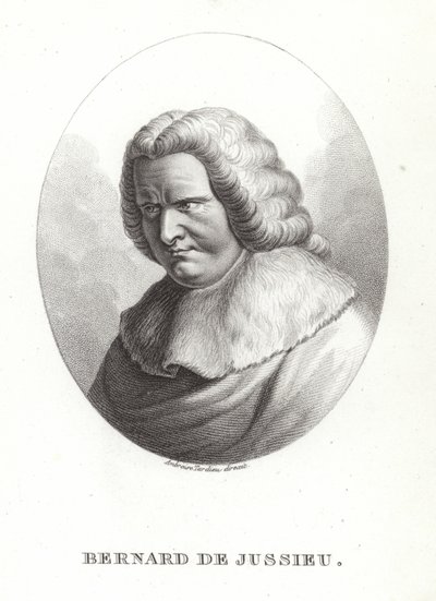 Bernard de Jussieu de French School