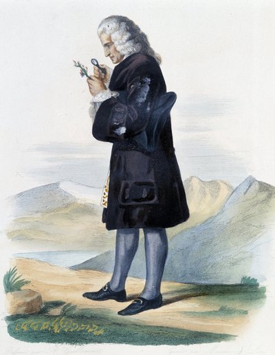 Bernard de Jussieu - en Ed. Mennechet, "Le Plutarque français" de French School