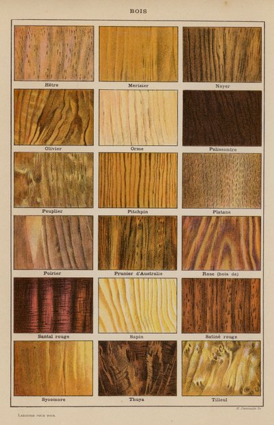 Madera (litografía en color) de French School