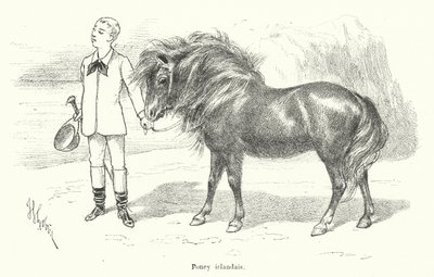 Niño con un pony irlandés de French School