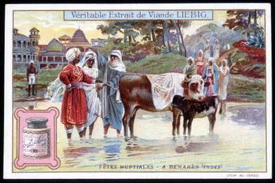 Fiestas nupciales en Benarés, India - cromo. Liebig, v. 1895 de French School