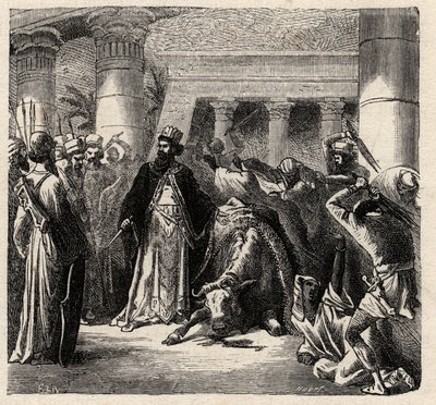 Cambises II, gobernante de los persas aqueménidas mata al Apis, el toro sagrado de los egipcios - Cambises o Cambise II (530-522 a.C.) grabado de "L