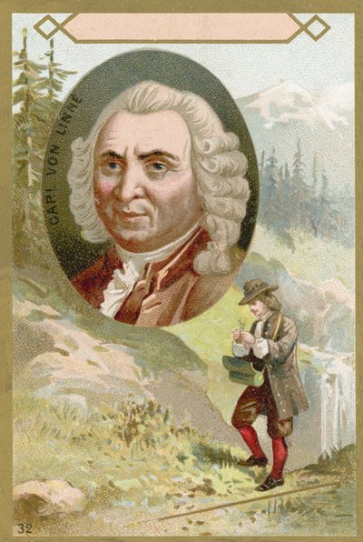 Carl Linnaeus, botánico y zoólogo sueco de French School