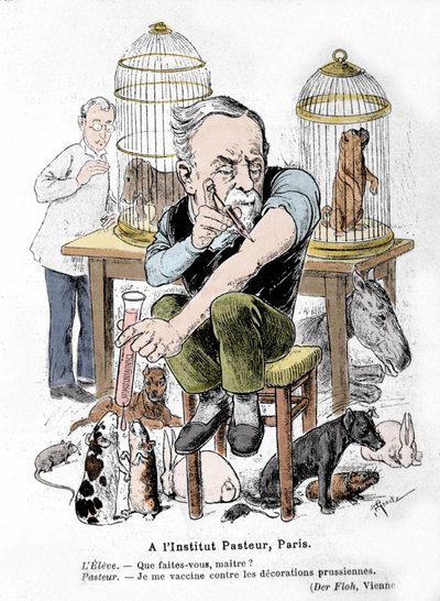 Representación en caricatura del científico Louis Pasteur, inventor de la vacuna contra la rabia, vacunándose contra las condecoraciones prusianas. Publicado en “Der Floh” de French School
