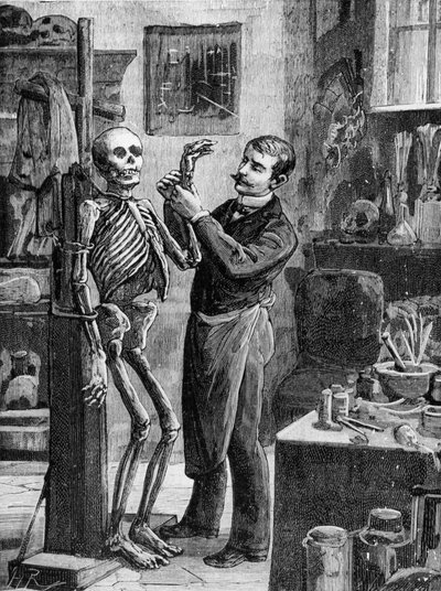 Caso Gouffé: La reconstrucción imaginaria del cadáver Gouffé por el Dr. Lacassagne - en "La Malle Sanglante", ed. A. Fayard, París, s.f. - París, B.H.V.P.D. de French School