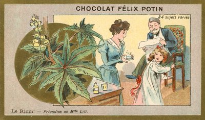 Aceite de ricino - delicadeza de la señorita Lili de French School