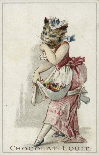 Gato con vestido de French School