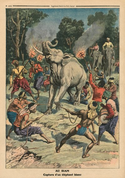 Captura de un elefante blanco en Siam, ilustración de 