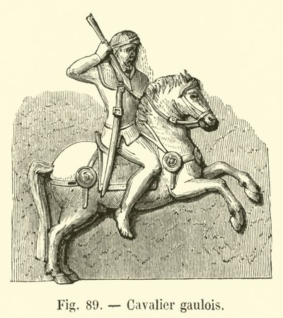Caballero galo de French School