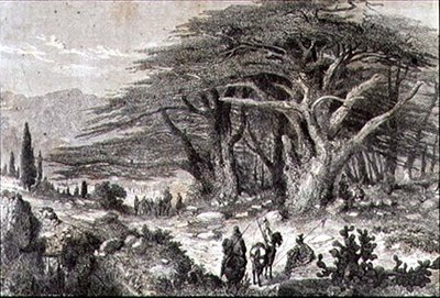 Cedros en el Líbano de French School