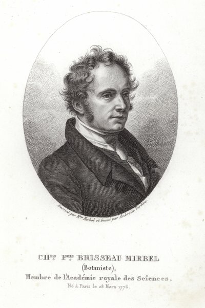Charles-François Brisseau de Mirbel de French School