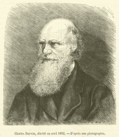 Charles Darwin, fallecido en abril de 1882 (grabado) de French School