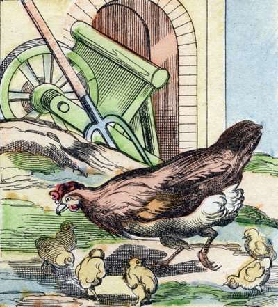 Gallina y pollitos. Grabado en "Buffon Alphabet des Oiseaux n 2". 3ª Serie N 2. Imágenes de Epinal, Epinal, finales del siglo XIX. 16 páginas. de French School