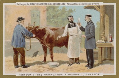 Tarjeta comercial de Chocolat d