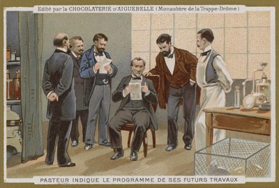 Tarjeta comercial de Chocolat d