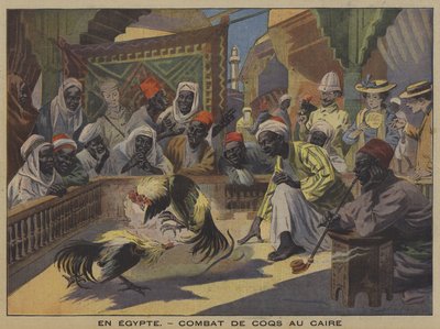 Pelea de gallos en El Cairo de French School