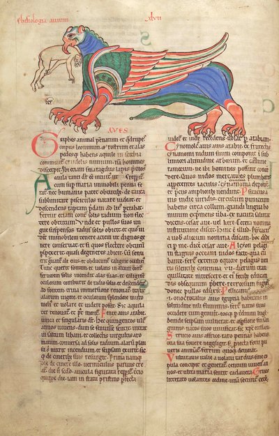 Un Grifo devorando a un hombre, del Liber Floridus de Lambert de Saint-Omer c.1120 de French School