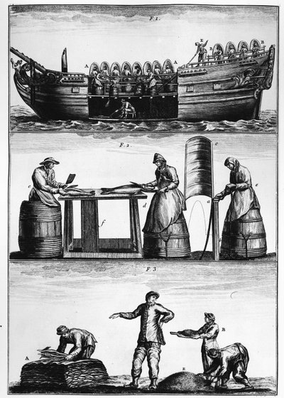 Pesca del bacalao: carga, corte y salado del pescado - en 