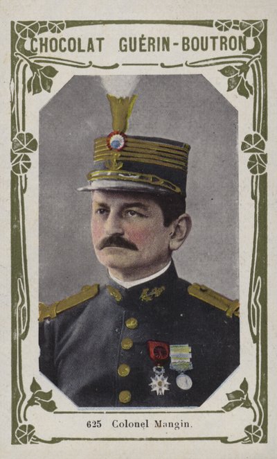 Coronel Mangin de French School