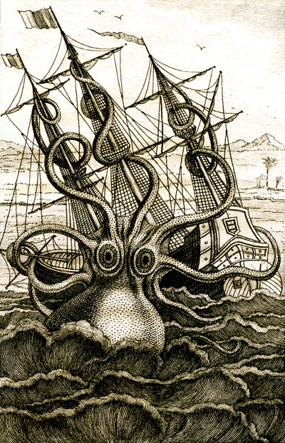 Pulpo colosal, c.1802 (grabado) de French School