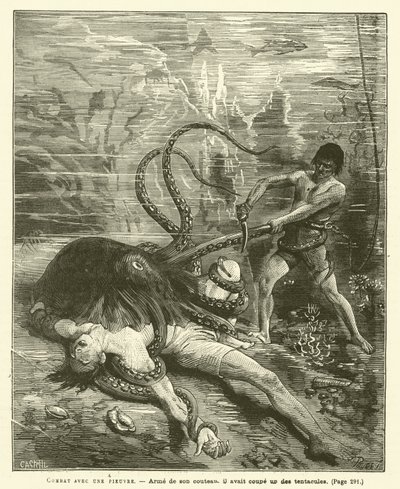 Combate con un pulpo de French School