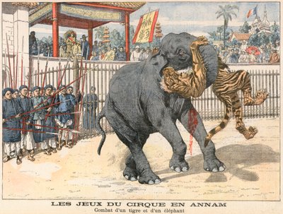 Combate entre un tigre y un elefante de French School